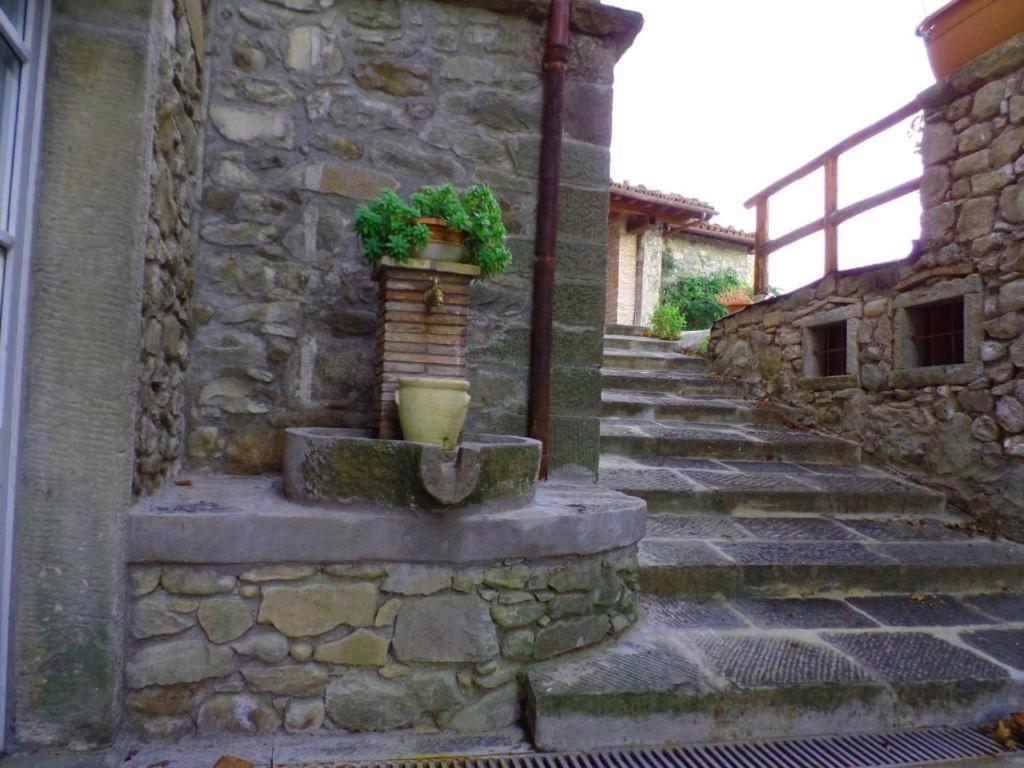 Il Pianetto Villa Pieve Fosciana Eksteriør billede